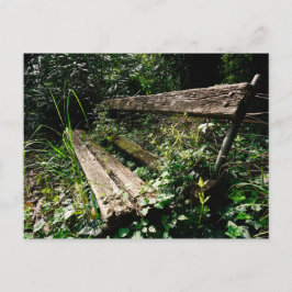 しばらく滞在して ポストカード