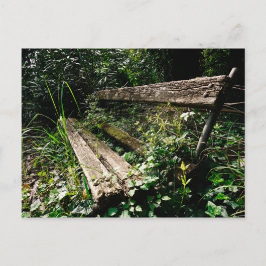 しばらく滞在 ポストカード (正面)