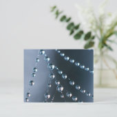 しぶきが付いている蜘蛛の巣 ポストカード (スタンド正面)