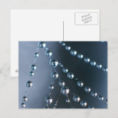 しぶきが付いている蜘蛛の巣 ポストカード (正面/裏面)