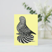 しぶきのむちゃくちゃのタンブラー鳩 ポストカード (スタンド正面)