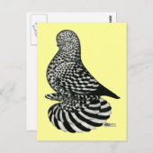 しぶきのむちゃくちゃのタンブラー鳩 ポストカード (正面/裏面)