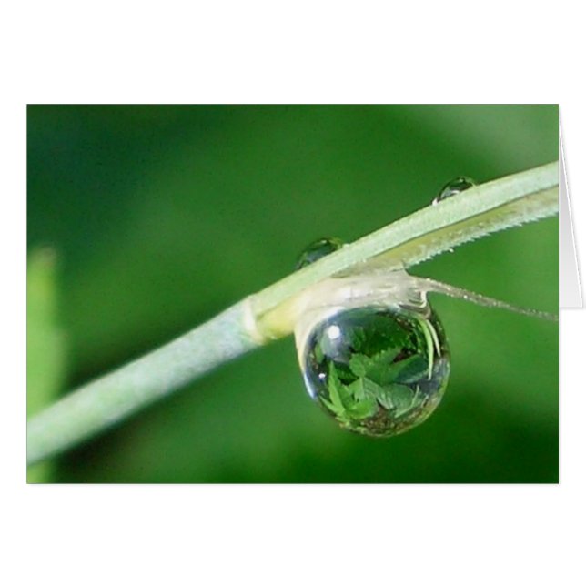 しぶきの世界 (正面横)