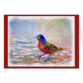 しぶきロビン赤胸 (正面横)