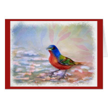 しぶきロビン赤胸