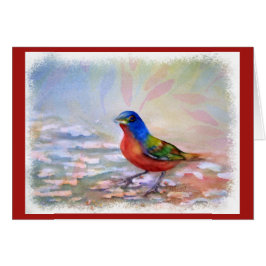 しぶきロビン赤胸