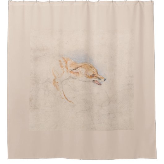 しゃがむキツネの勉強（John Frederick Lewis著） シャワーカーテン (正面)