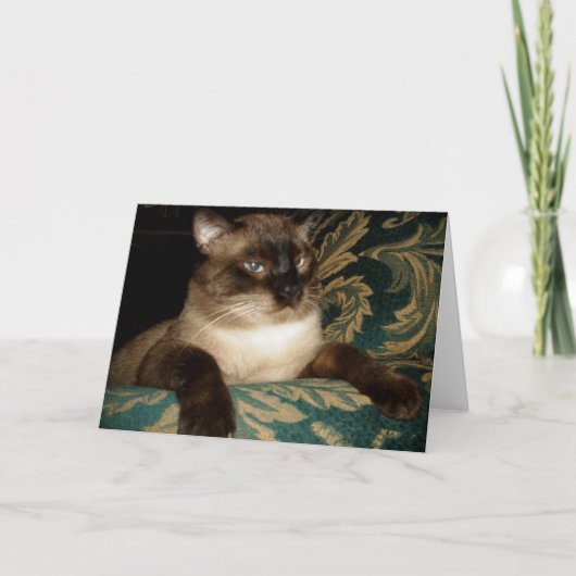 しゃくれた顔のシャム猫 ノートカード (正面)