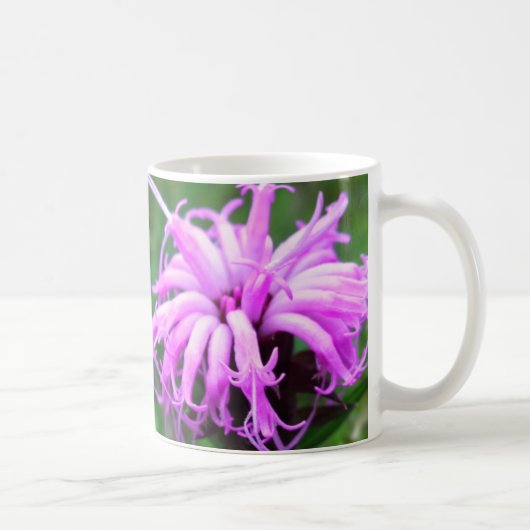 しょうじょうはぐまの花 コーヒーマグカップ (右)