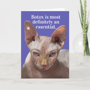 しわおもしろいの寄った猫-ボトックスが必須 カード
