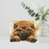 しわくちゃになって ポストカード (スタンド正面)