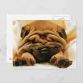 しわくちゃになって ポストカード (正面/裏面)