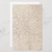 しわだらけの古い紙文房具 便箋 (正面/裏面)