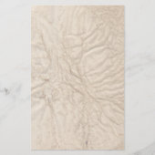 しわだらけの古い紙文房具 便箋 (正面)