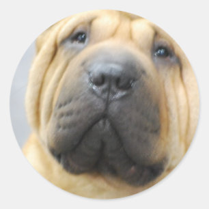 しわのステッカーとのShar Pei ラウンドシール