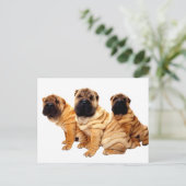 しわは美しいポストカード ポストカード (スタンド正面)