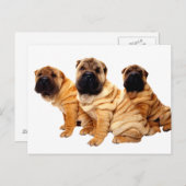 しわは美しいポストカード ポストカード (正面/裏面)