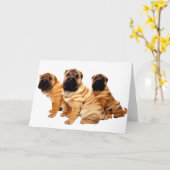 しわは美しい挨拶状です カード (黄色い花)