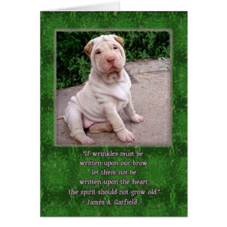 しわを寄せられた額