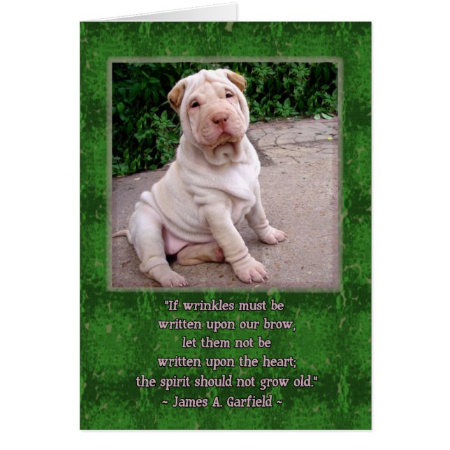 しわを寄せられた額 (正面)