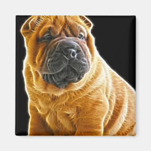 しわ、中国のなShar Peiの小犬 マグネット
