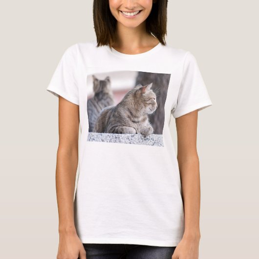 じっとしているタビー猫 Tシャツ (正面)