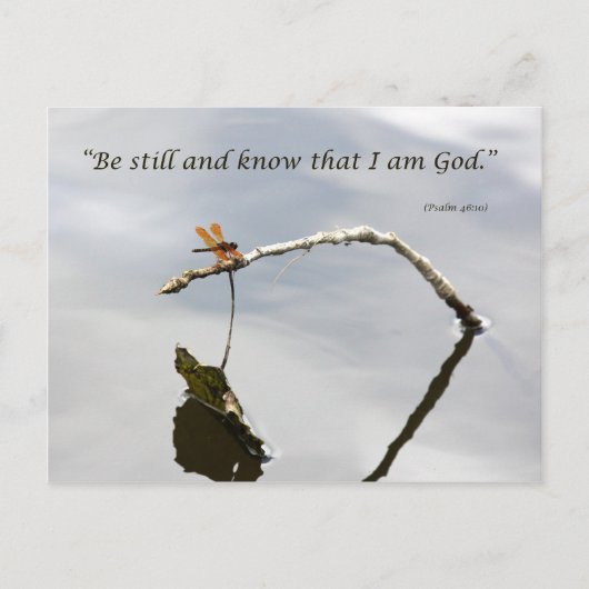 じっとしている ポストカード (正面)