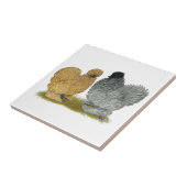 じゅーじゅーいう音の鶏 タイル (側面)