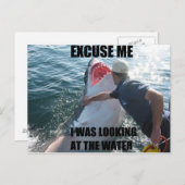 すいませんシャーク! ポストカード (正面/裏面)