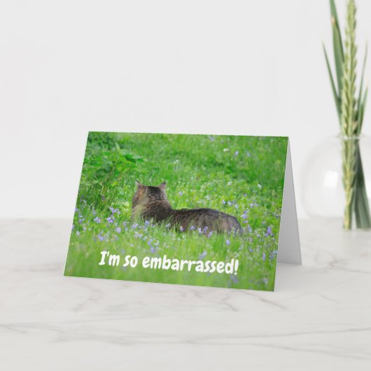 すいませ恋しく思ん誕生日 カード (正面)