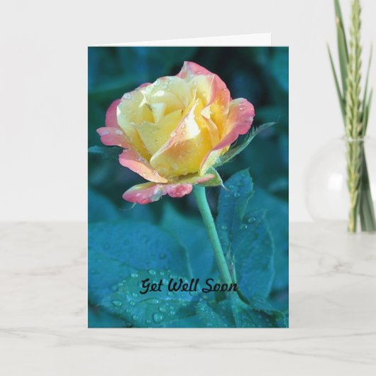 すぐによく得て下さい カード (正面)