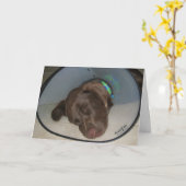 すぐによく得て下さい カード (黄色い花)