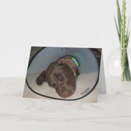 すぐによく得て下さい カード (正面)