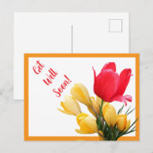 すぐにピンクの赤かわいらしチューリップ黄色のクロッカスを得る ポストカード (正面/裏面)