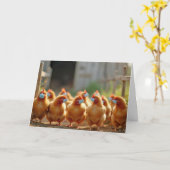 すぐにマスク付きの鶏を飼う カード (黄色い花)