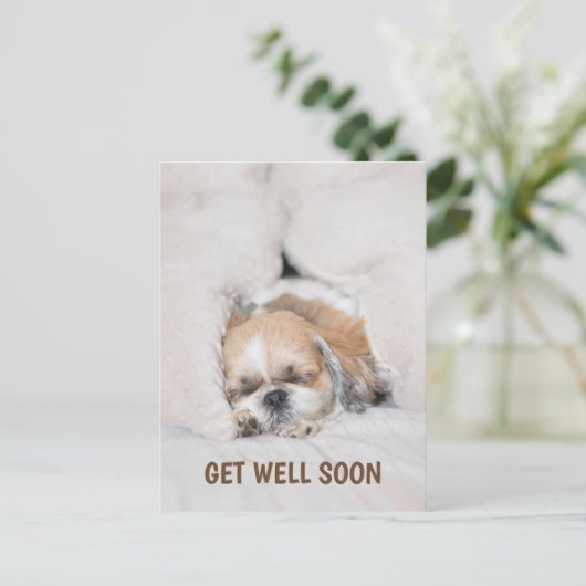 すぐに可愛い子犬しはつ眠りカードを取得 ポストカード (スタンド正面)