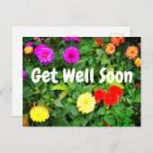 すぐに様々なDahlias #1ポストカードを取得 ポストカード (正面/裏面)