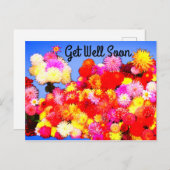 すぐに様々なDahlias #2-2ポストカードを取得 ポストカード (正面/裏面)