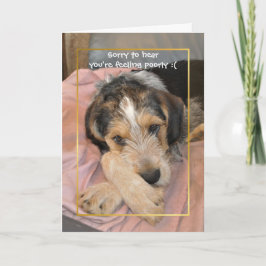 すぐに犬を飼いなさい カード