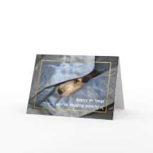 すぐに犬を飼いなさい