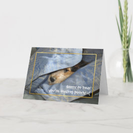 すぐに犬を飼いなさい カード