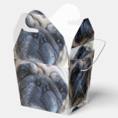 すぐに病気のパグ犬を飼う フェイバーボックス (オープン)