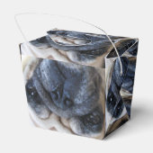 すぐに病気のパグ犬を飼う フェイバーボックス (裏面サイド)