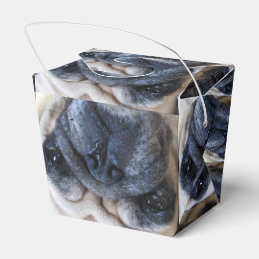 すぐに病気のパグ犬を飼う フェイバーボックス (裏面サイド)