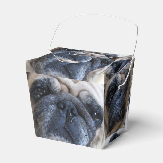 すぐに病気のパグ犬を飼う フェイバーボックス (正面サイド)