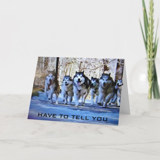 すぐに立ち上がって走り回って カード (正面)