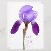 すぐに紫のアイリスエレガントフローラを取得する シーズンカード (正面/裏面)
