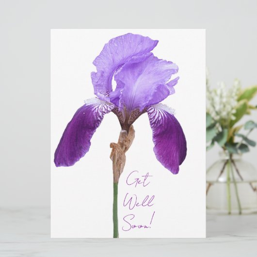 すぐに紫のアイリスエレガントフローラを取得する シーズンカード (スタンド正面)