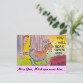 すぐに連絡が来る！ ポストカード (スタンド正面)