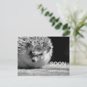 すぐに ポストカード (スタンド正面)